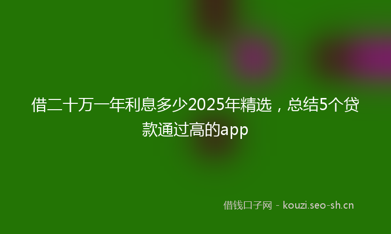 借二十万一年利息多少2025年精选，总结5个贷款通过高的app