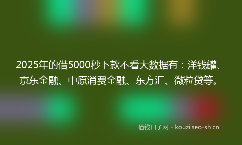 2025年的借5000秒下款不看大数据有:洋钱罐、京东金融、中原消费金融、东方汇、微粒贷等。