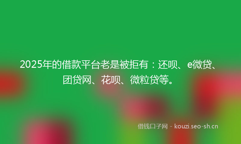 2025年的借款平台老是被拒有：还呗、e微贷、团贷网、花呗、微粒贷等。