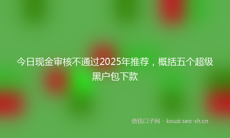 今日现金审核不通过2025年推荐，概括五个超级黑户包下款