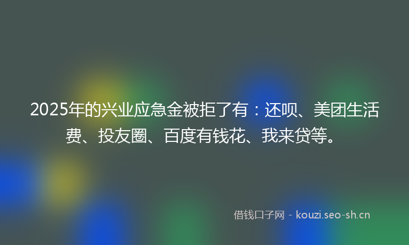 2025年的兴业应急金被拒了有：还呗、美团生活费、投友圈、百度有钱花、我来贷等。