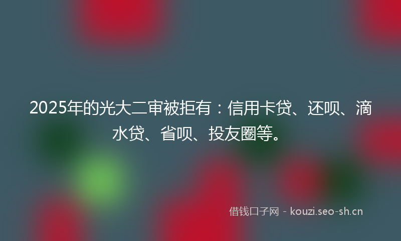 2025年的光大二审被拒有：信用卡贷、还呗、滴水贷、省呗、投友圈等。