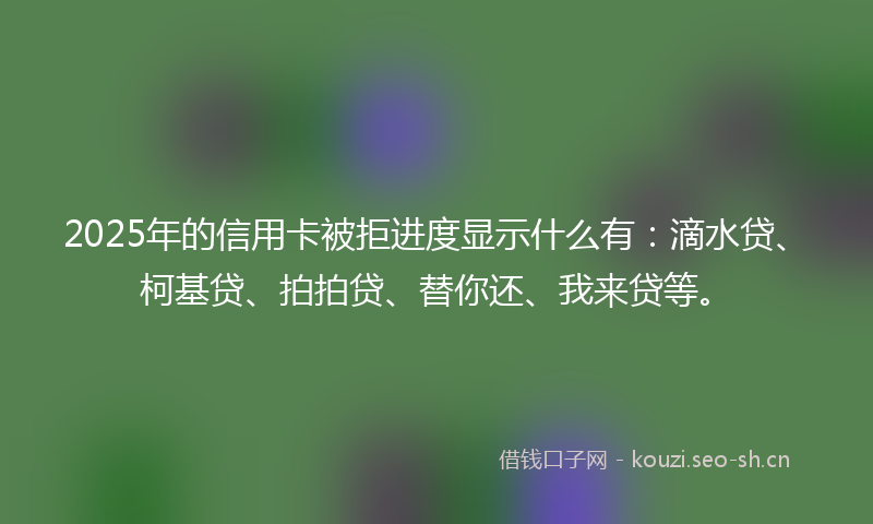 2025年的信用卡被拒进度显示什么有：滴水贷、柯基贷、拍拍贷、替你还、我来贷等。