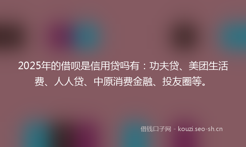 2025年的借呗是信用贷吗有：功夫贷、美团生活费、人人贷、中原消费金融、投友圈等。