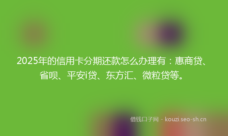 2025年的信用卡分期还款怎么办理有：惠商贷、省呗、平安i贷、东方汇、微粒贷等。