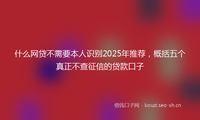 什么网贷不需要本人识别2025年推荐，概括五个真正不查征信的贷款口子