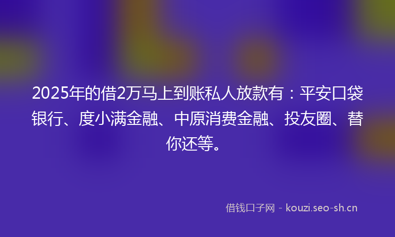 2025年的借2万马上到账私人放款有：平安口袋银行、度小满金融、中原消费金融、投友圈、替你还等。