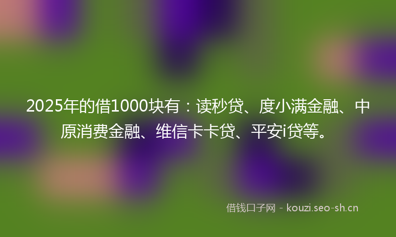 2025年的借1000块有：读秒贷、度小满金融、中原消费金融、维信卡卡贷、平安i贷等。