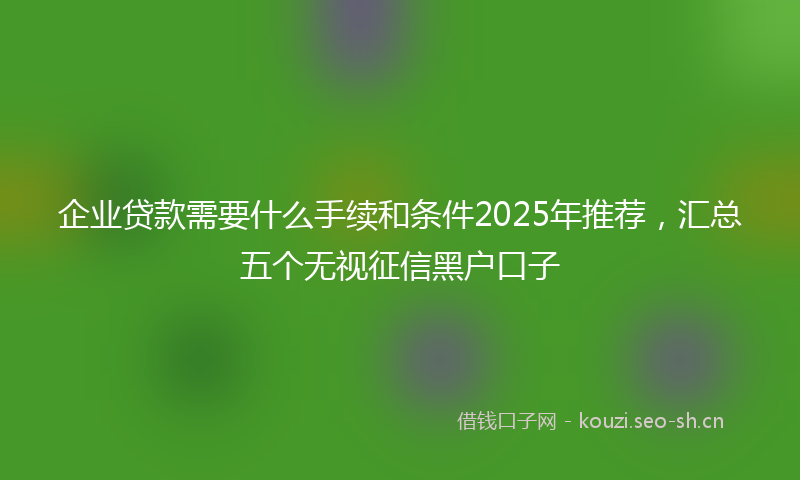 企业贷款需要什么手续和条件2025年推荐，汇总五个无视征信黑户口子