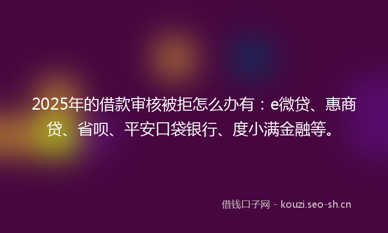 2025年的借款审核被拒怎么办有：e微贷、惠商贷、省呗、平安口袋银行、度小满金融等。