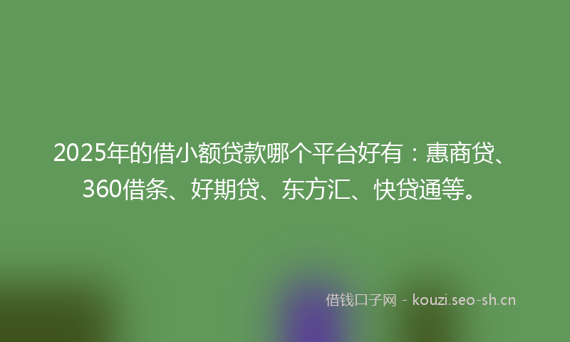 2025年的借小额贷款哪个平台好有：惠商贷、360借条、好期贷、东方汇、快贷通等。
