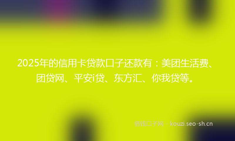 2025年的信用卡贷款口子还款有：美团生活费、团贷网、平安i贷、东方汇、你我贷等。
