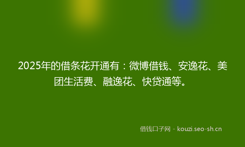 2025年的借条花开通有：微博借钱、安逸花、美团生活费、融逸花、快贷通等。