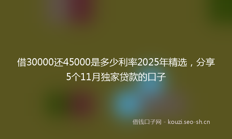 借30000还45000是多少利率2025年精选,分享5个11月独家贷款的口子