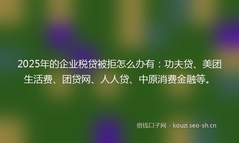 2025年的企业税贷被拒怎么办有：功夫贷、美团生活费、团贷网、人人贷、中原消费金融等。