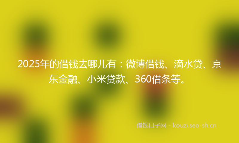 2025年的借钱去哪儿有：微博借钱、滴水贷、京东金融、小米贷款、360借条等。