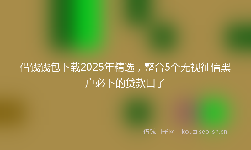 借钱钱包下载2025年精选，整合5个无视征信黑户必下的贷款口子
