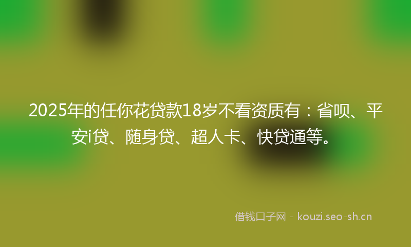 2025年的任你花贷款18岁不看资质有:省呗、平安i贷、随身贷、超人卡、快贷通等。