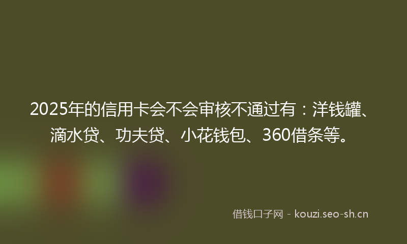 2025年的信用卡会不会审核不通过有：洋钱罐、滴水贷、功夫贷、小花钱包、360借条等。