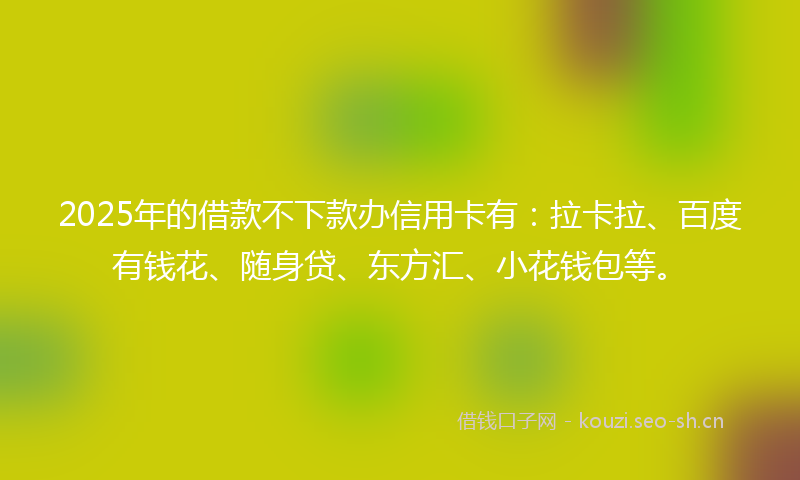 2025年的借款不下款办信用卡有：拉卡拉、百度有钱花、随身贷、东方汇、小花钱包等。