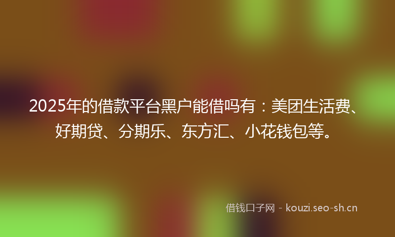 2025年的借款平台黑户能借吗有：美团生活费、好期贷、分期乐、东方汇、小花钱包等。