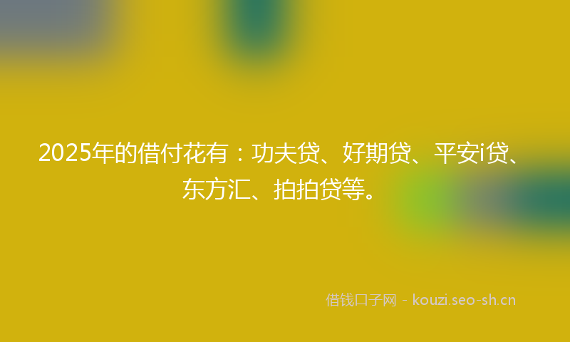 2025年的借付花有：功夫贷、好期贷、平安i贷、东方汇、拍拍贷等。