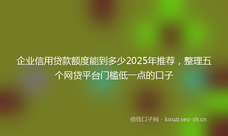 企业信用贷款额度能到多少2025年推荐，整理五个网贷平台门槛低一点的口子