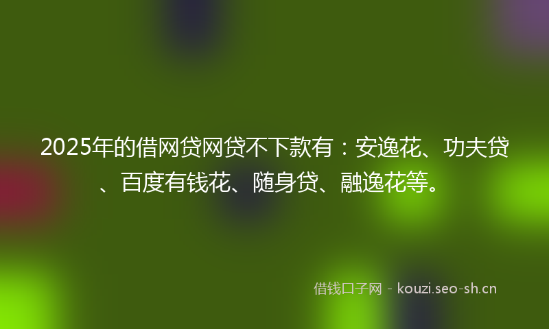 2025年的借网贷网贷不下款有：安逸花、功夫贷、百度有钱花、随身贷、融逸花等。