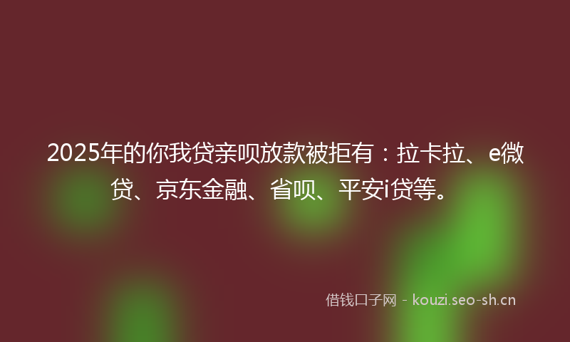 2025年的你我贷亲呗放款被拒有：拉卡拉、e微贷、京东金融、省呗、平安i贷等。