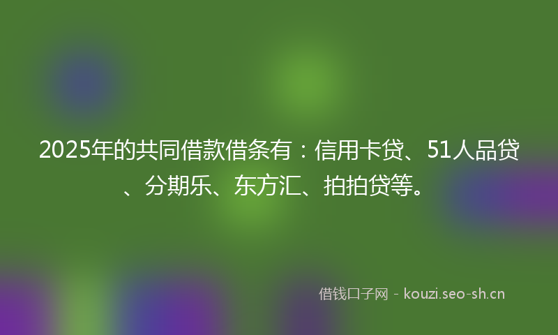 2025年的共同借款借条有：信用卡贷、51人品贷、分期乐、东方汇、拍拍贷等。