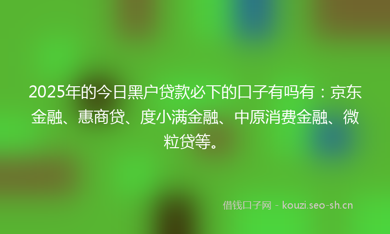 2025年的今日黑户贷款必下的口子有吗有：京东金融、惠商贷、度小满金融、中原消费金融、微粒贷等。