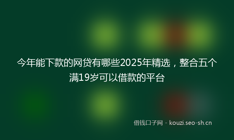 今年能下款的网贷有哪些2025年精选，整合五个满19岁可以借款的平台