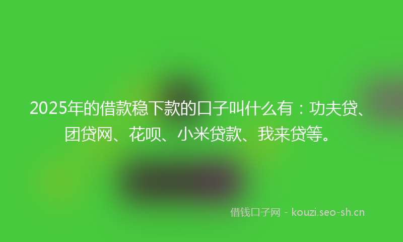 2025年的借款稳下款的口子叫什么有：功夫贷、团贷网、花呗、小米贷款、我来贷等。