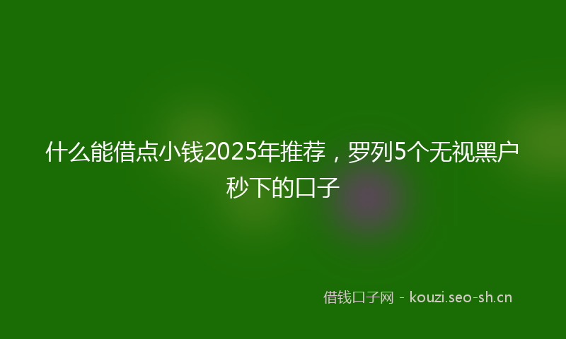 什么能借点小钱2025年推荐，罗列5个无视黑户秒下的口子