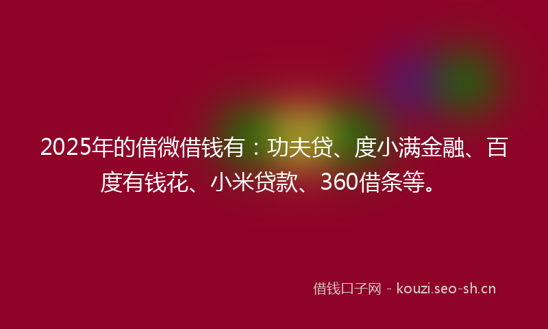 2025年的借微借钱有：功夫贷、度小满金融、百度有钱花、小米贷款、360借条等。