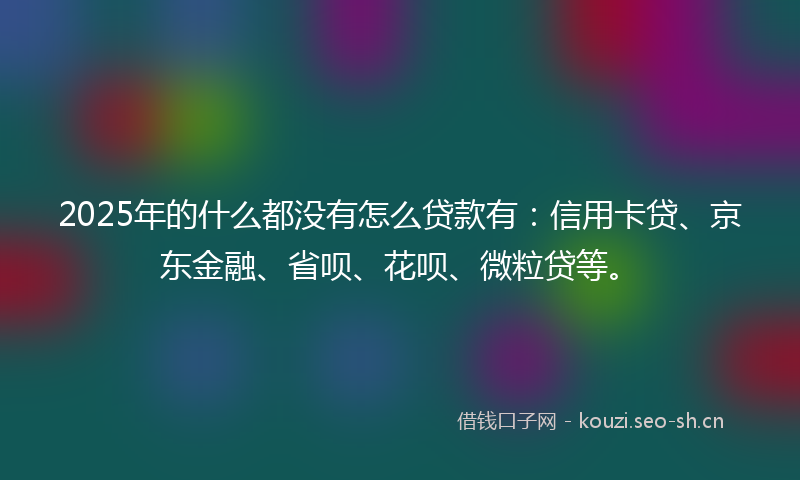 2025年的什么都没有怎么贷款有：信用卡贷、京东金融、省呗、花呗、微粒贷等。