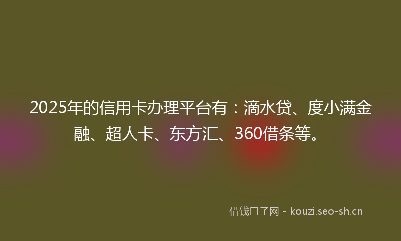 2025年的信用卡办理平台有:滴水贷、度小满金融、超人卡、东方汇、360借条等。