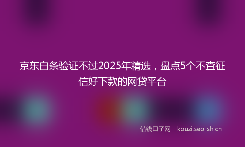 京东白条验证不过2025年精选，盘点5个不查征信好下款的网贷平台