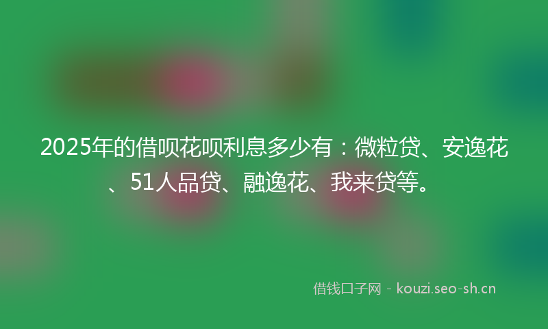 2025年的借呗花呗利息多少有：微粒贷、安逸花、51人品贷、融逸花、我来贷等。