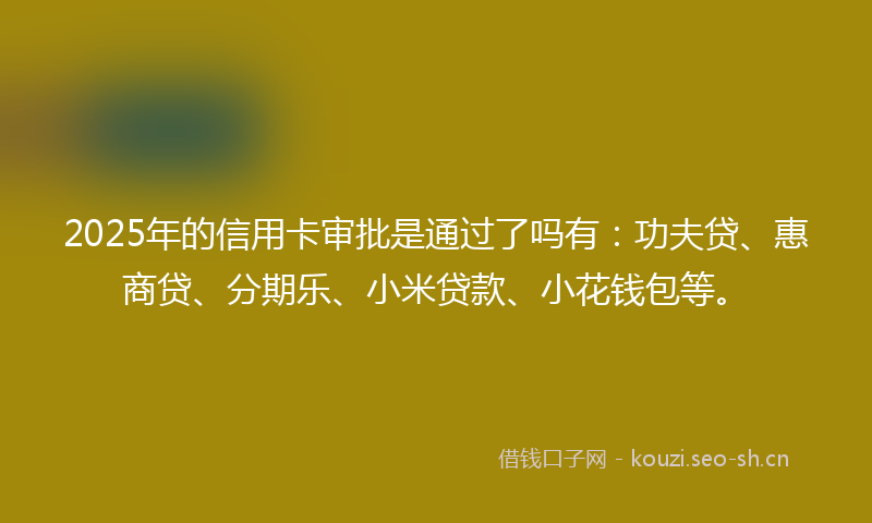 2025年的信用卡审批是通过了吗有：功夫贷、惠商贷、分期乐、小米贷款、小花钱包等。