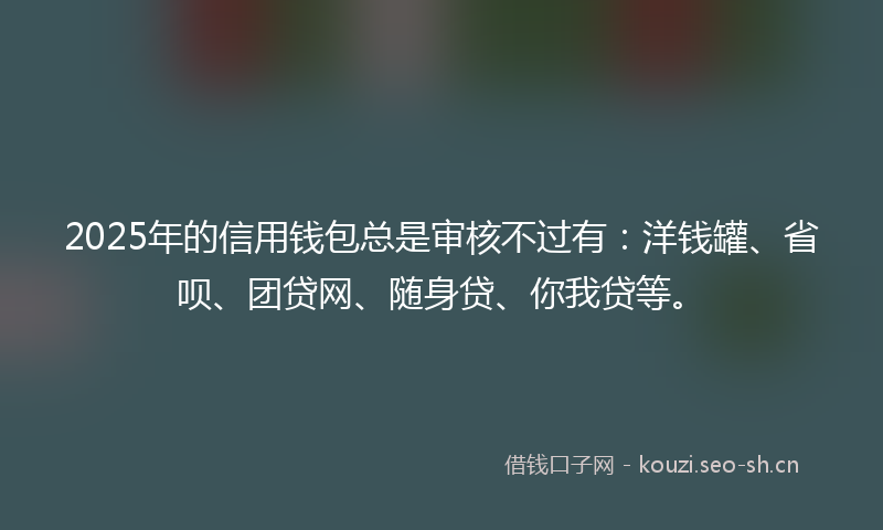 2025年的信用钱包总是审核不过有：洋钱罐、省呗、团贷网、随身贷、你我贷等。