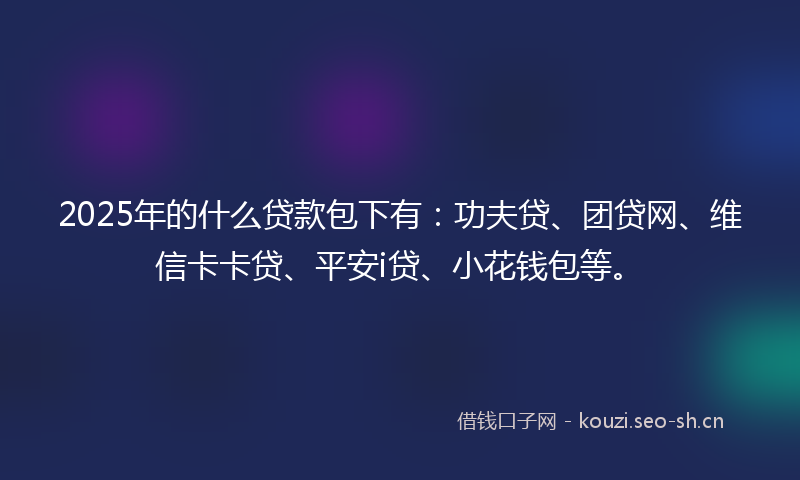 2025年的什么贷款包下有：功夫贷、团贷网、维信卡卡贷、平安i贷、小花钱包等。