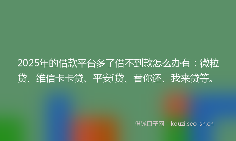 2025年的借款平台多了借不到款怎么办有：微粒贷、维信卡卡贷、平安i贷、替你还、我来贷等。
