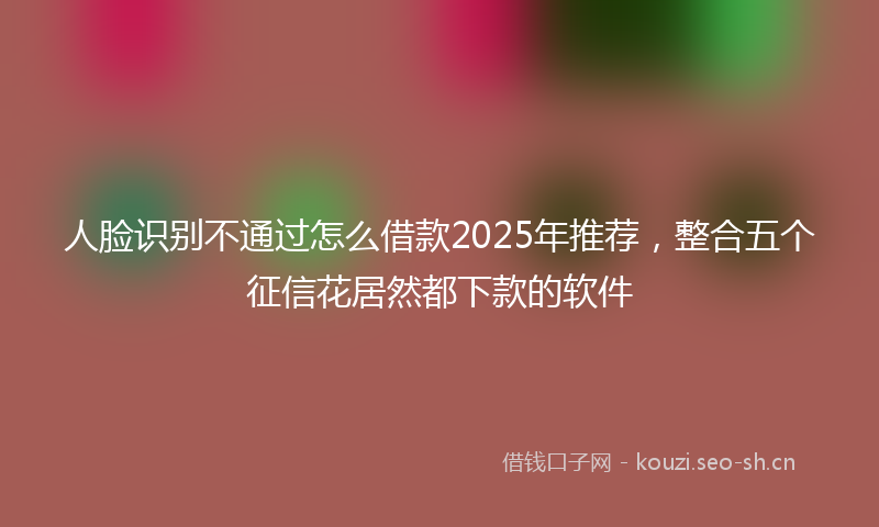 人脸识别不通过怎么借款2025年推荐，整合五个征信花居然都下款的软件