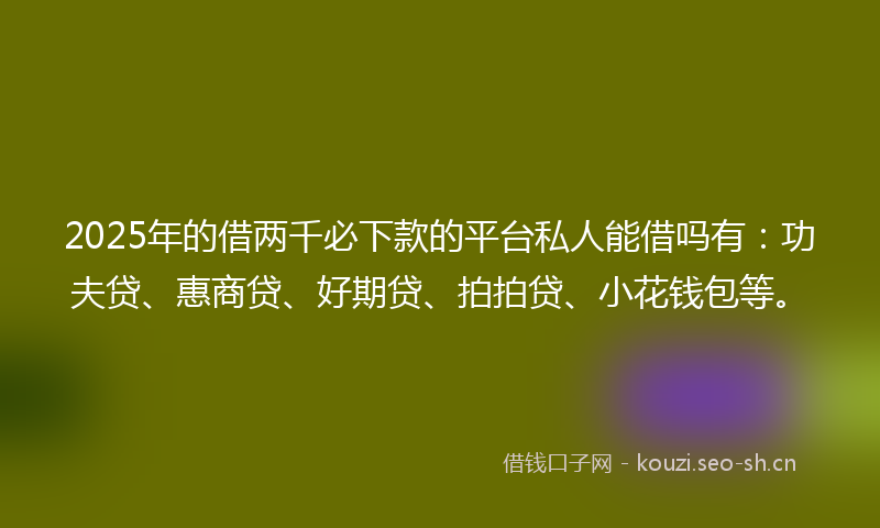 2025年的借两千必下款的平台私人能借吗有：功夫贷、惠商贷、好期贷、拍拍贷、小花钱包等。