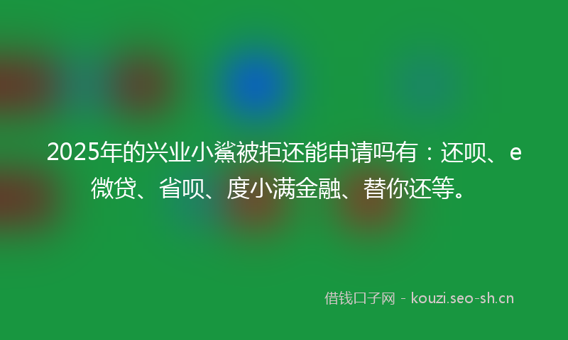2025年的兴业小鯊被拒还能申请吗有：还呗、e微贷、省呗、度小满金融、替你还等。