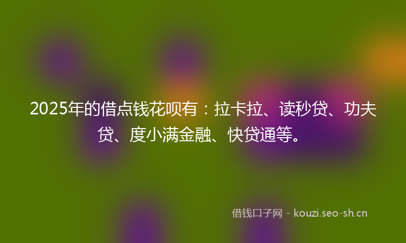 2025年的借点钱花呗有：拉卡拉、读秒贷、功夫贷、度小满金融、快贷通等。