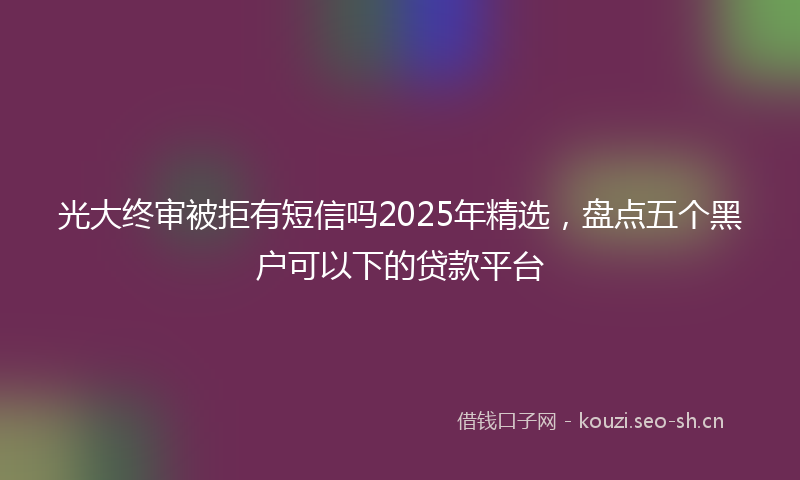 光大终审被拒有短信吗2025年精选,盘点五个黑户可以下的贷款平台