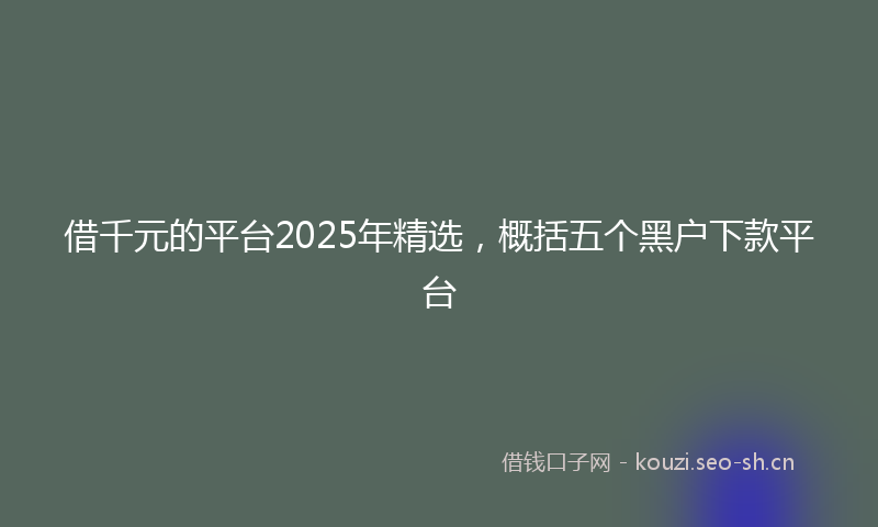 借千元的平台2025年精选，概括五个黑户下款平台