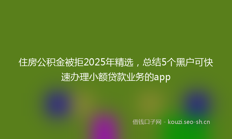 住房公积金被拒2025年精选，总结5个黑户可快速办理小额贷款业务的app